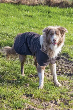 Brown Burke and Wills Dog Coat