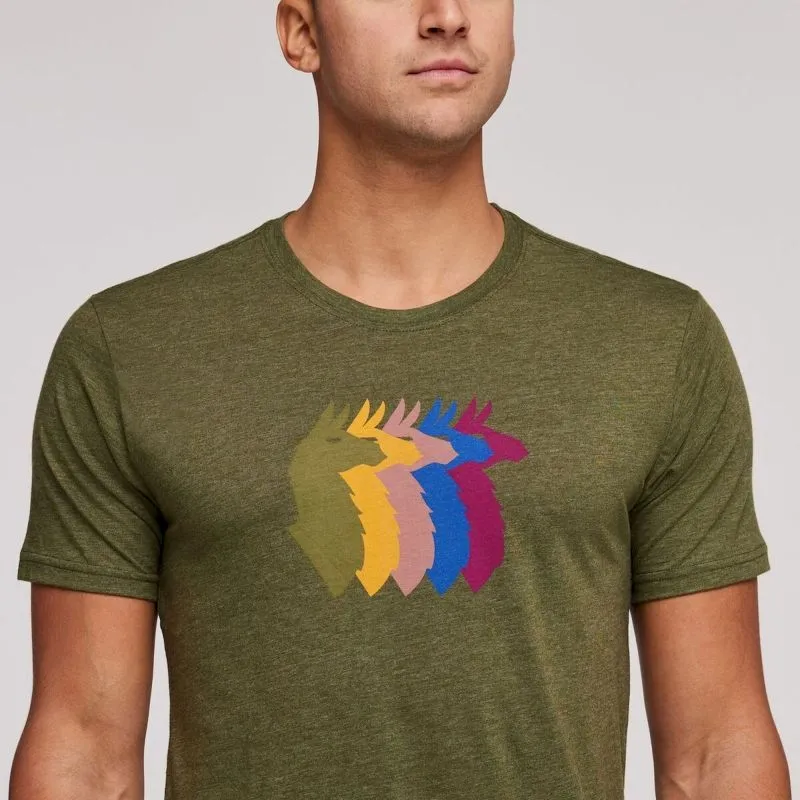 Men's Organic T-shirt with Llama Stripes by Cotopaxi