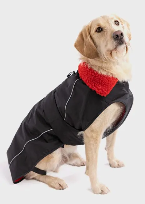 Waterproof Dog Coat in Black/Red