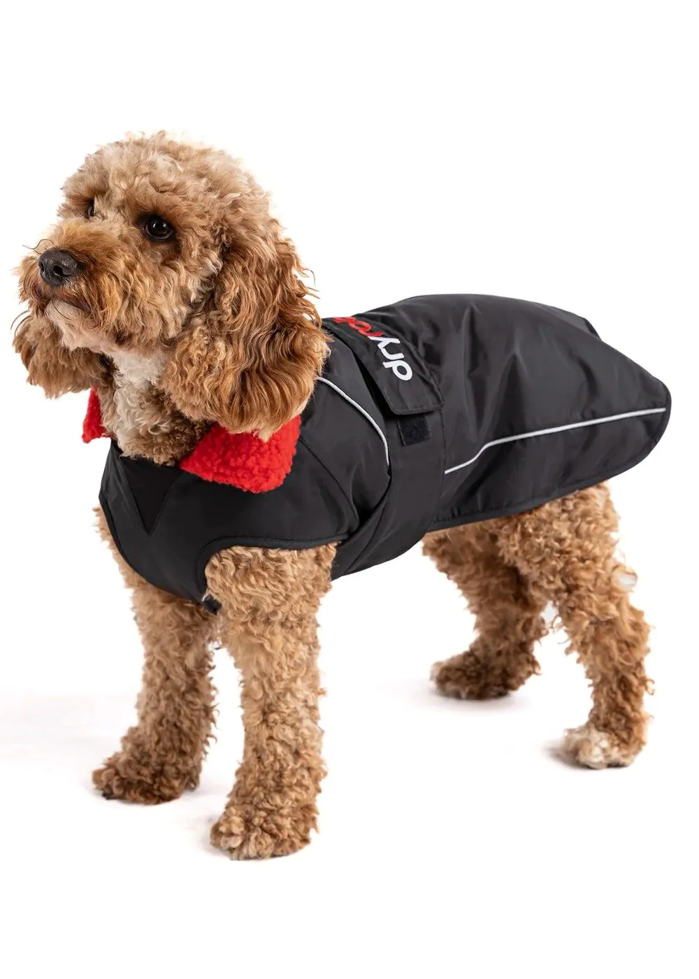 Waterproof Dog Coat in Black/Red