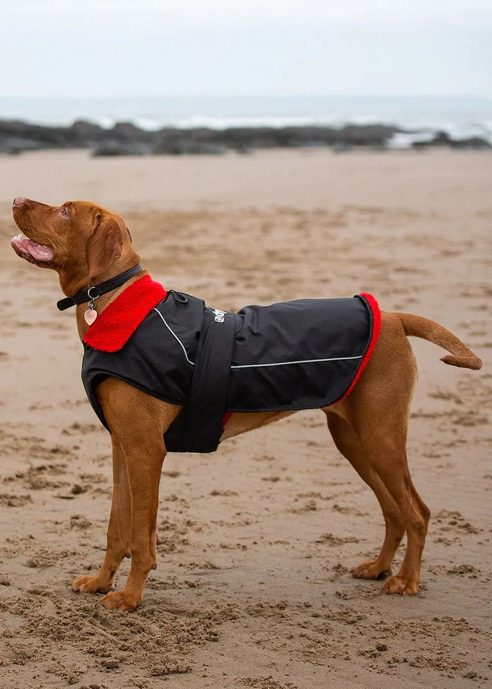 Waterproof Dog Coat in Black/Red