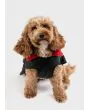 Waterproof Dog Coat in Black/Red