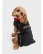 Waterproof Dog Coat in Black/Red