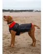 Waterproof Dog Coat in Black/Red