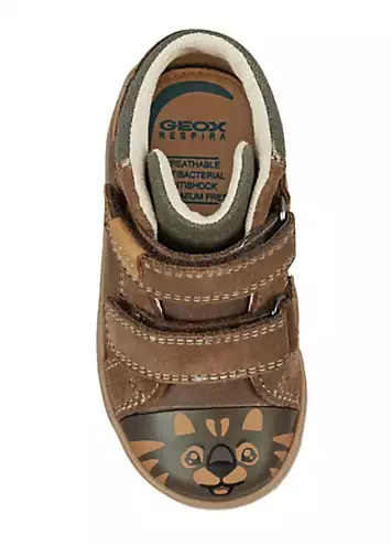 Geox Boys Kilwi Trainers | Grattan