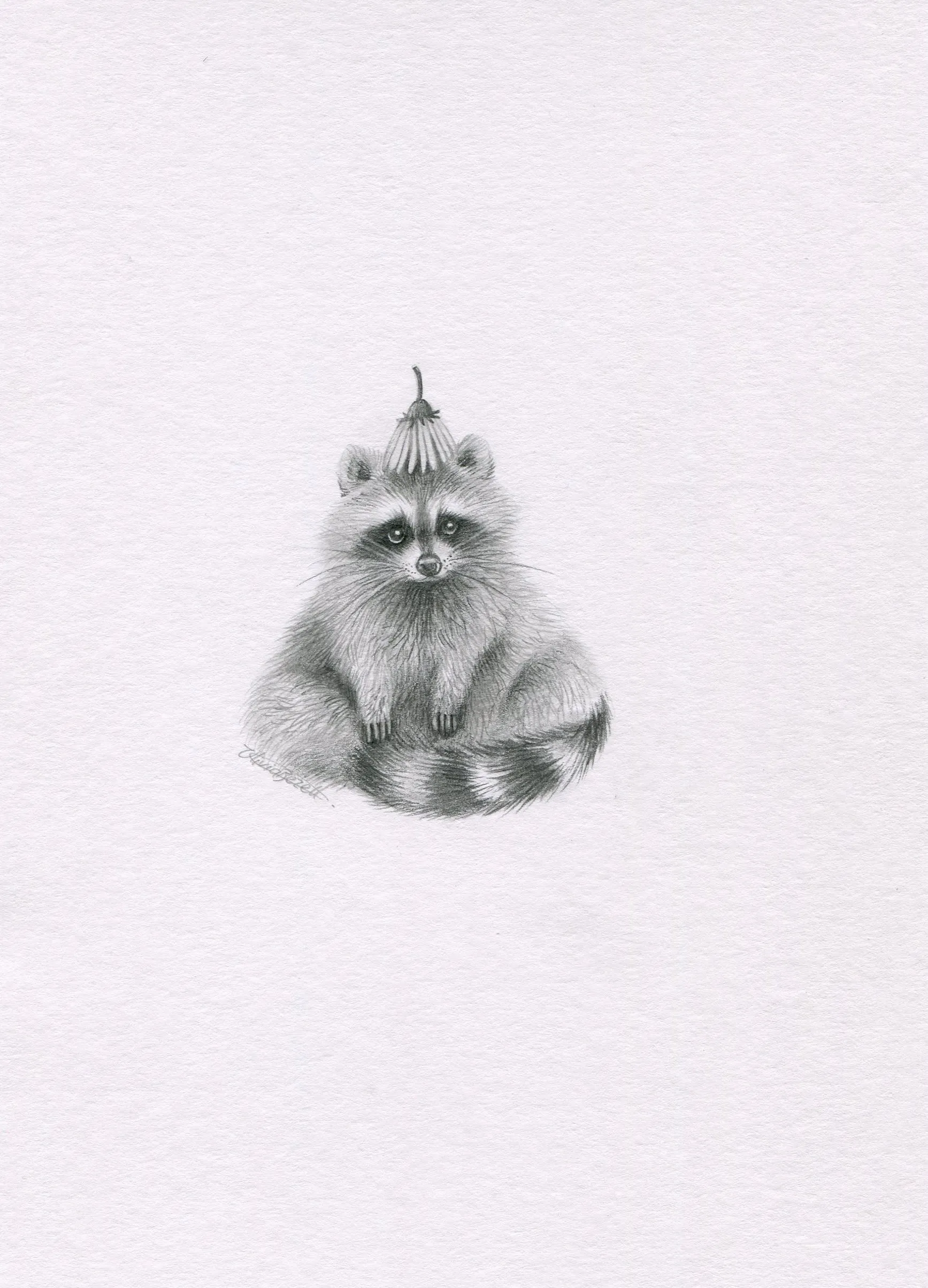 Raccoon with Flower Hat