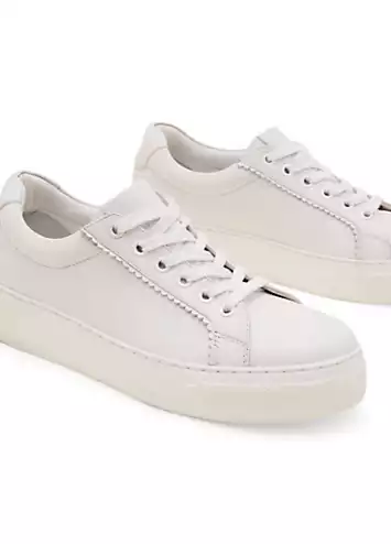 Phase Eight Leather Trainers | Grattan