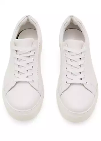 Phase Eight Leather Trainers | Grattan