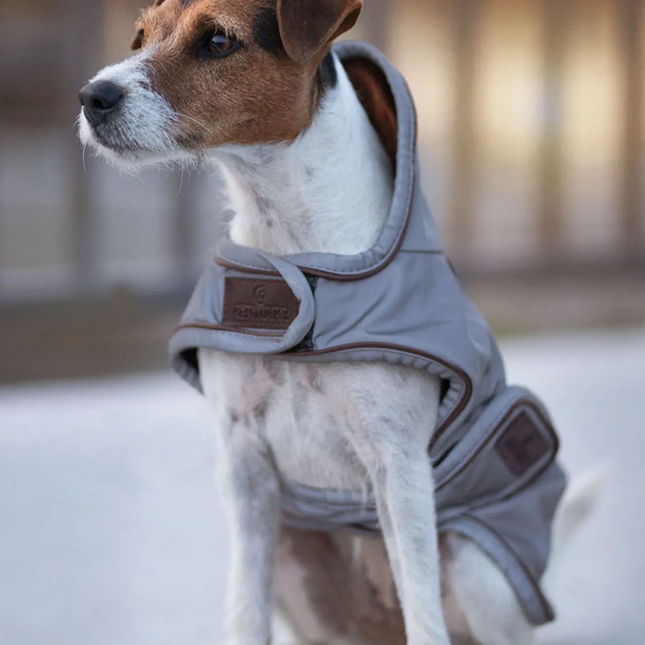 Reflective Water-Repellent Dog Coat