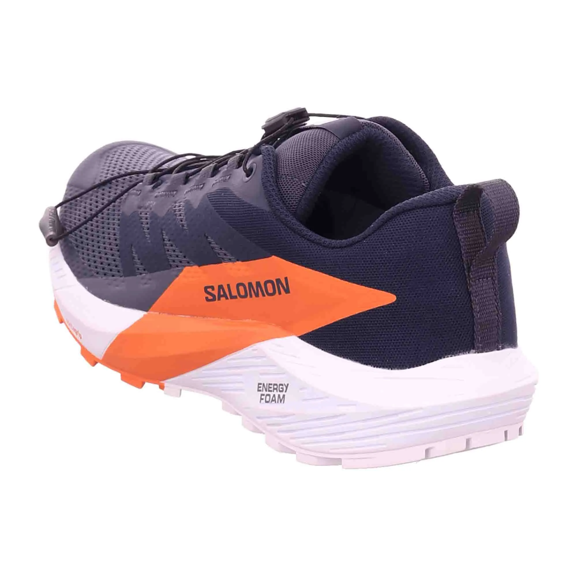 Salomon SENSE RIDE 5 GTX Indik Men's Blue Shoes